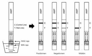 AMP testiliuskan lukeminen 1
