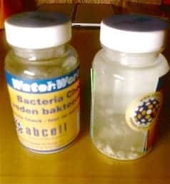 kaivovesitutkimus_koliformiset bakteerit