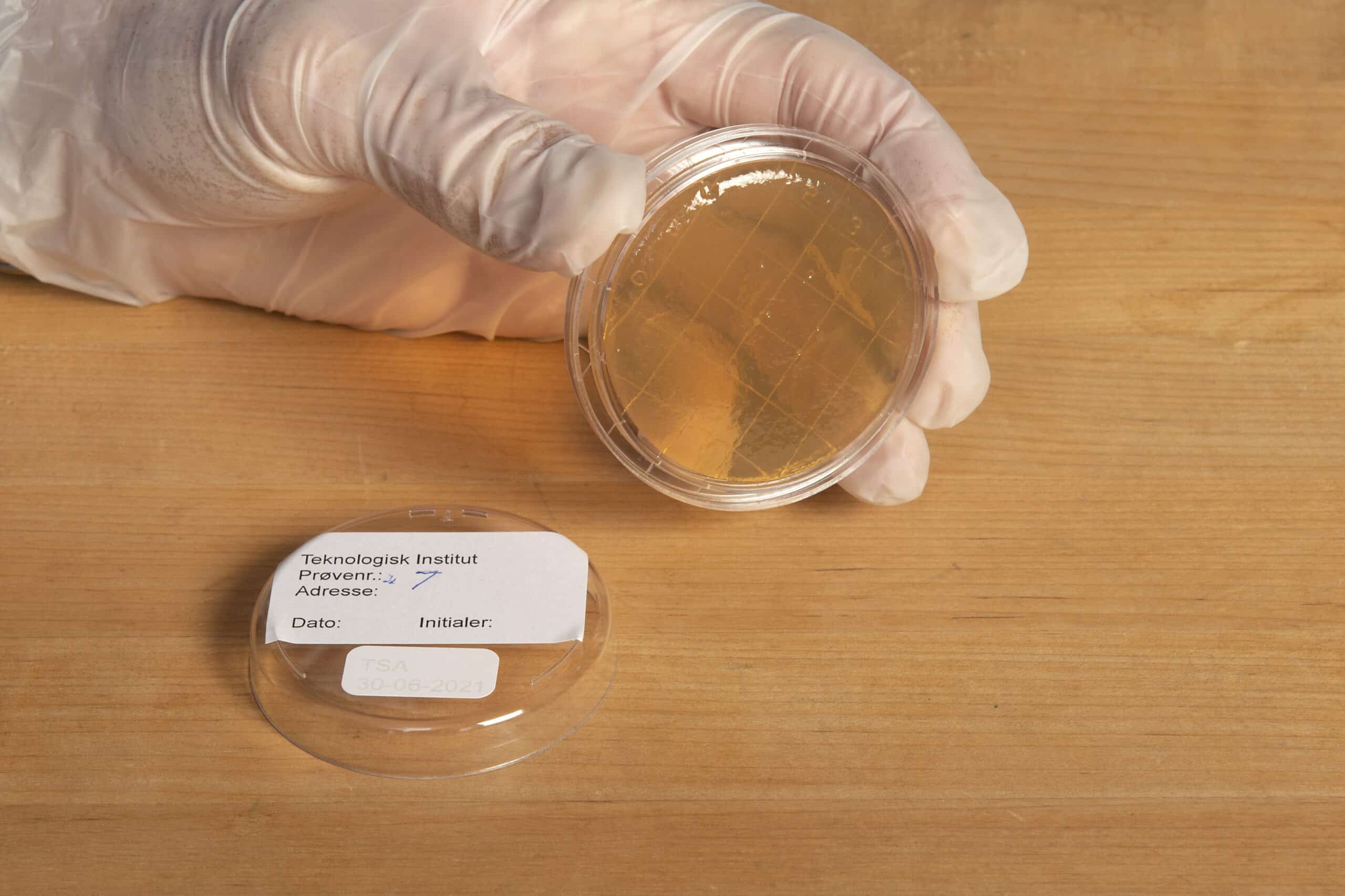 mikrobitestin tekeminen