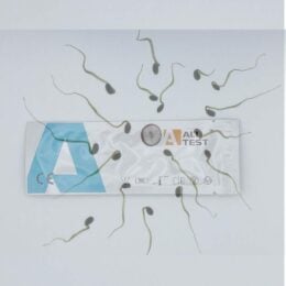 Siemennesteen osoitustesti