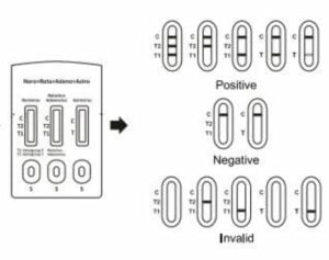 Vatsatuti multivirustesti