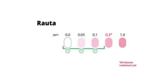 Kaivoveden rautapitoisuuden mittaaminen