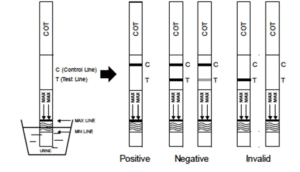 Nikotiinitestin tekeminen ja tuloksen lukeminen