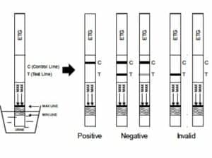 ETG pikatestin lukeminen