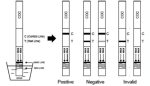 Kokaiinitestituloksen lukeminen