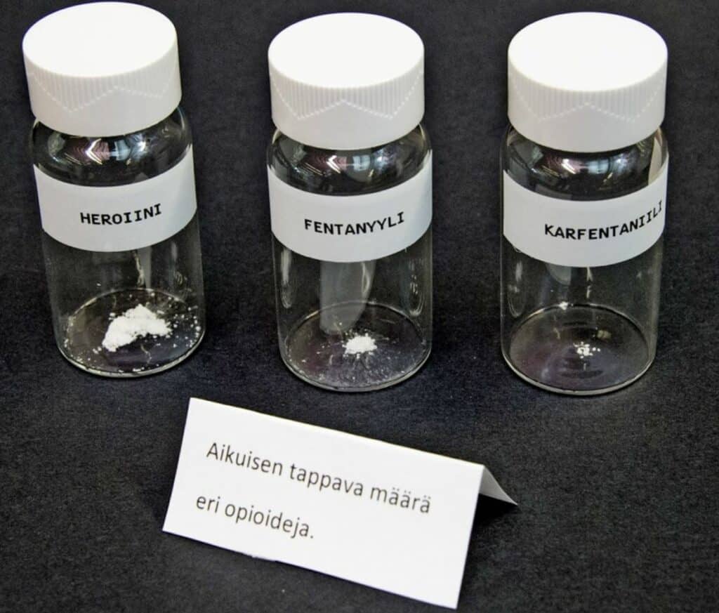 Havainnekuva ihmisen tappavista opioidimaarista